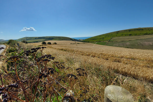 Lost Lanes with Jack Thurston. Riding around the Purbeck Prendas Ciclismo