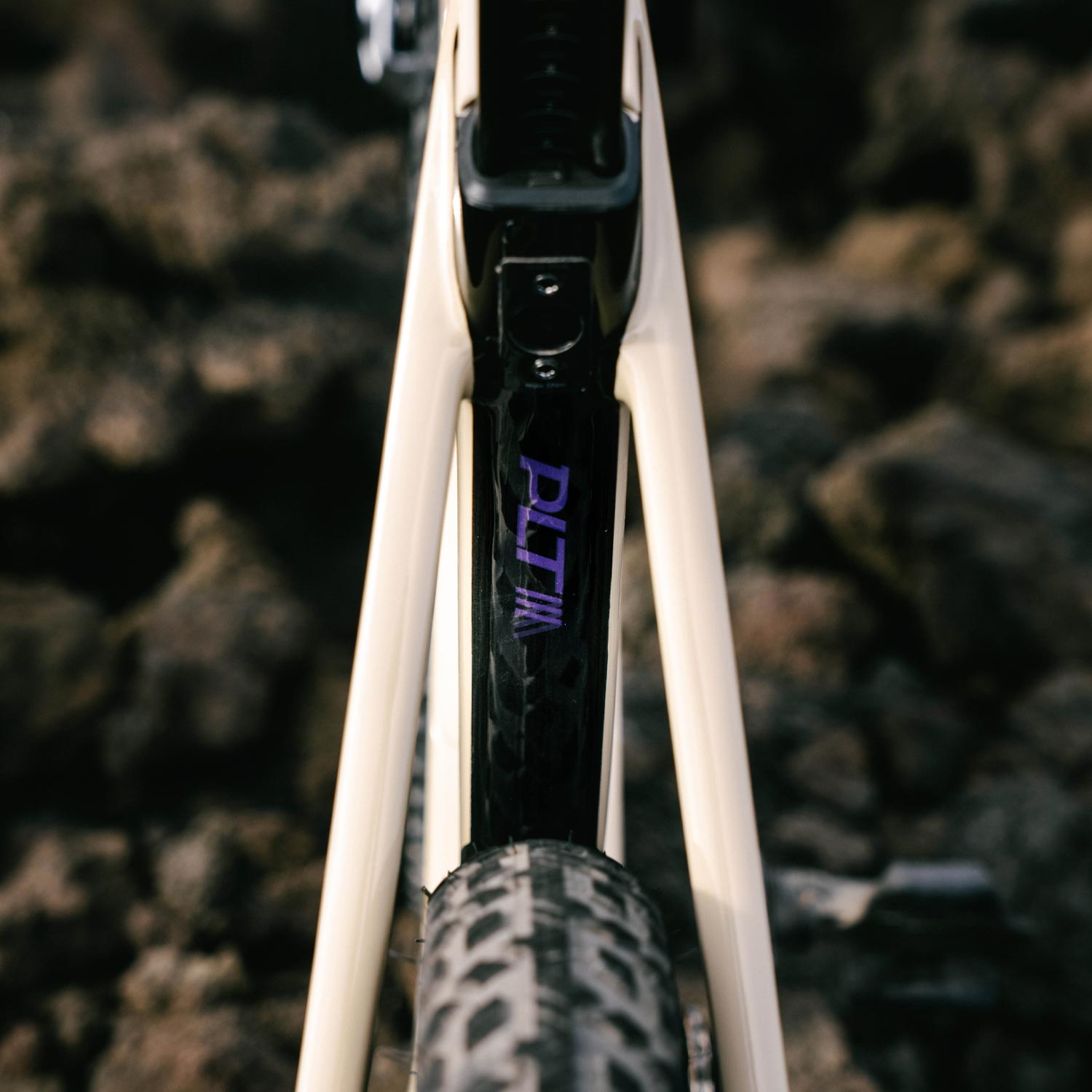 Basso Palta III Purple Dust With Strato Stem