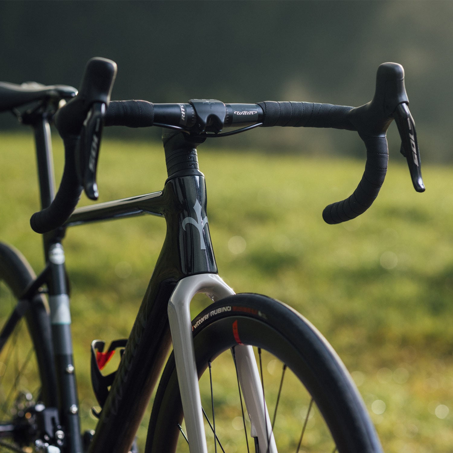 Wilier Rave SL Black/Silver Frameset