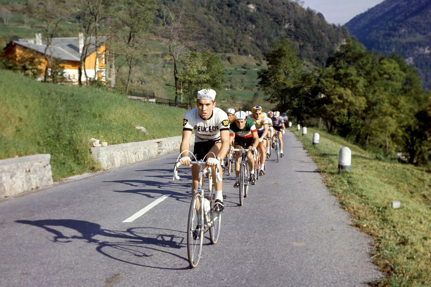 Peugeot cycling team - The Bastion of French Cycling | Prendas Ciclismo