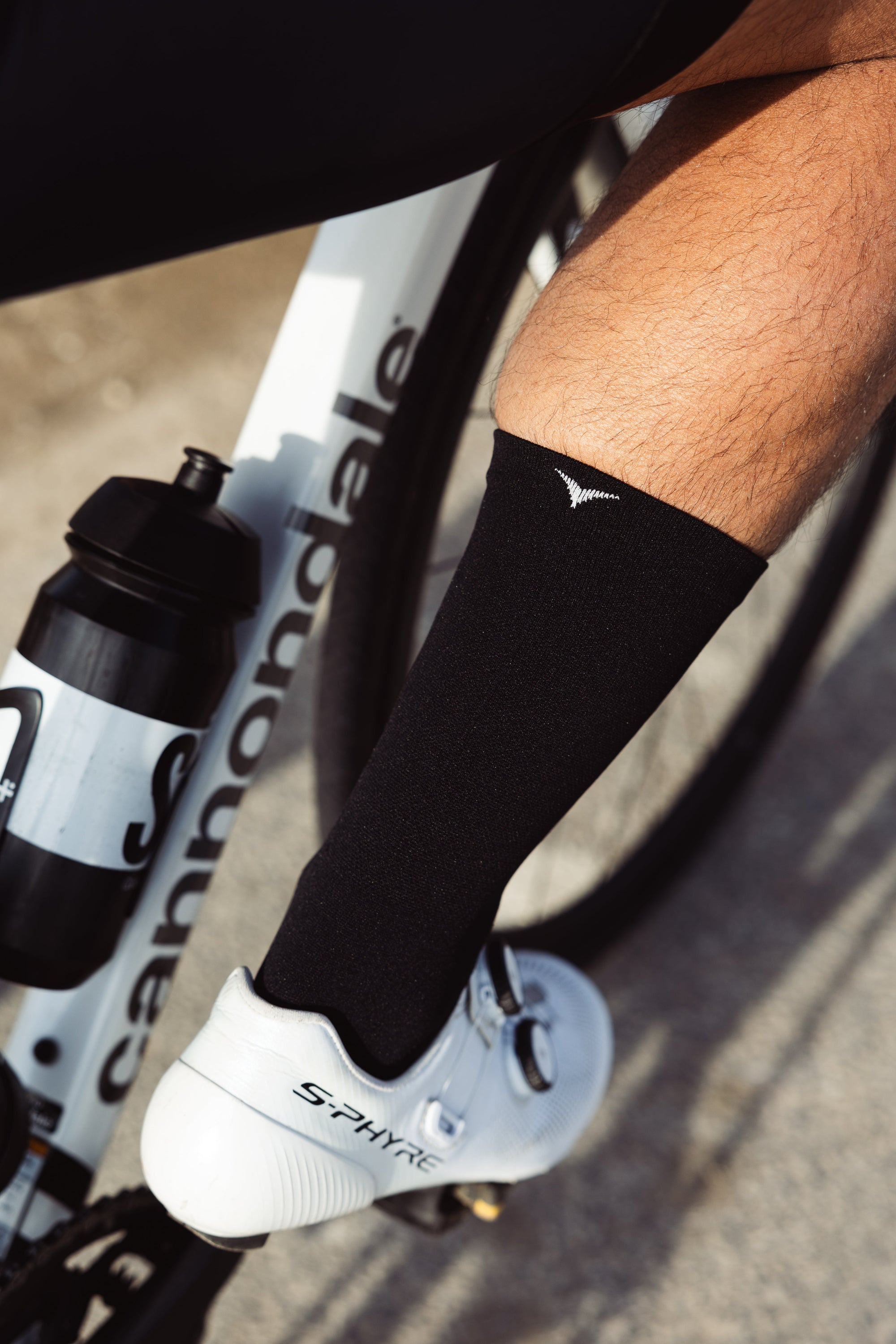 Veto Socks