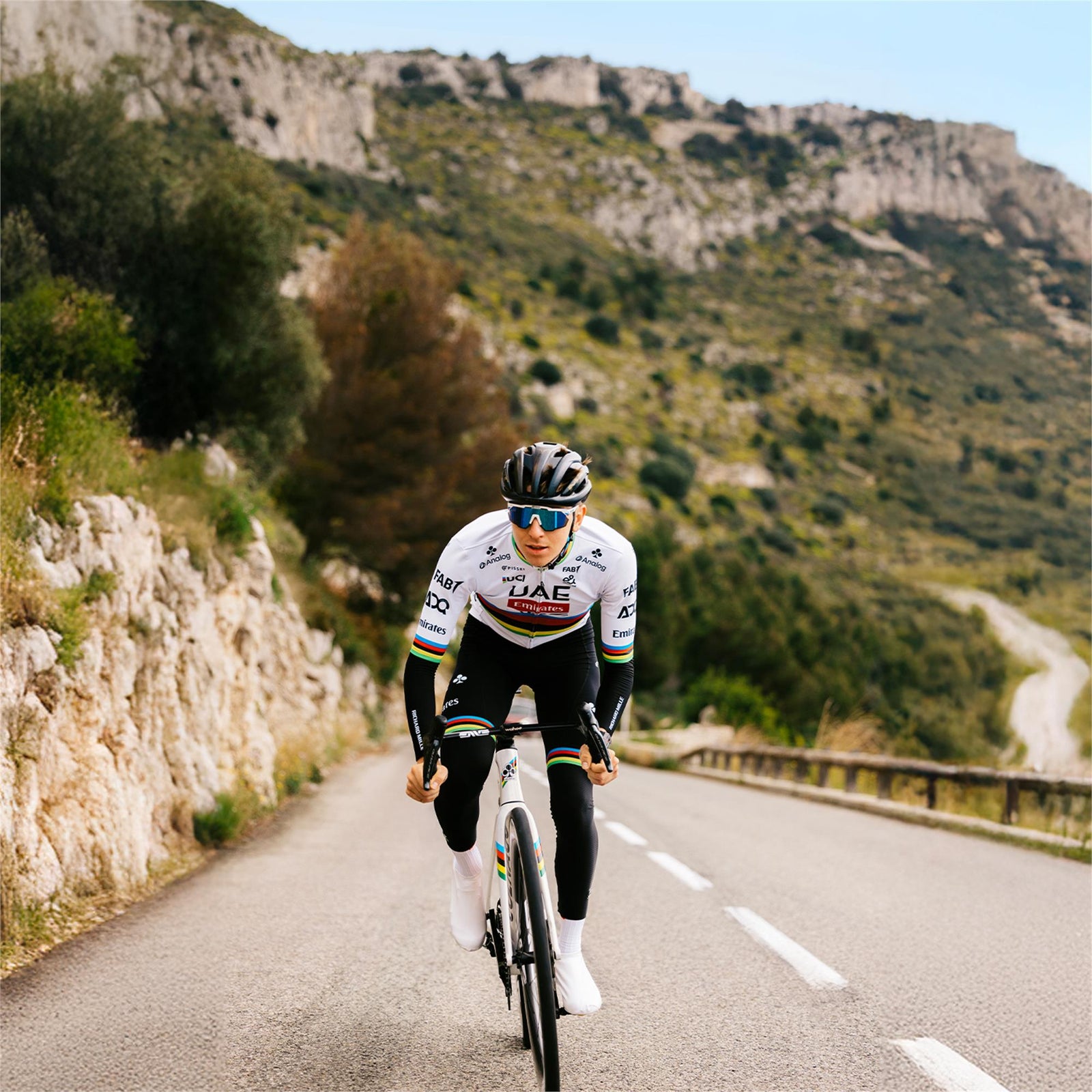 Continental Archetype Tubeless Road Tyre 2025 TDF