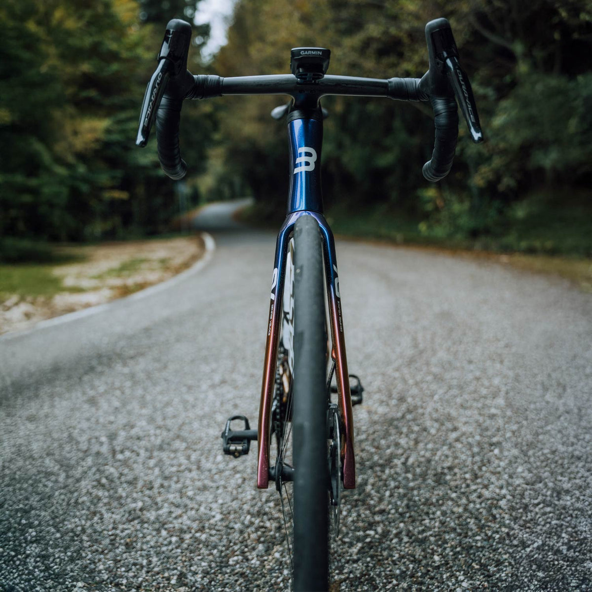 Basso SV Viola Galaxy Frameset