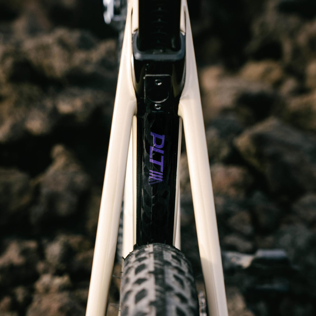 Basso Palta III Purple Dust With Strato Stem