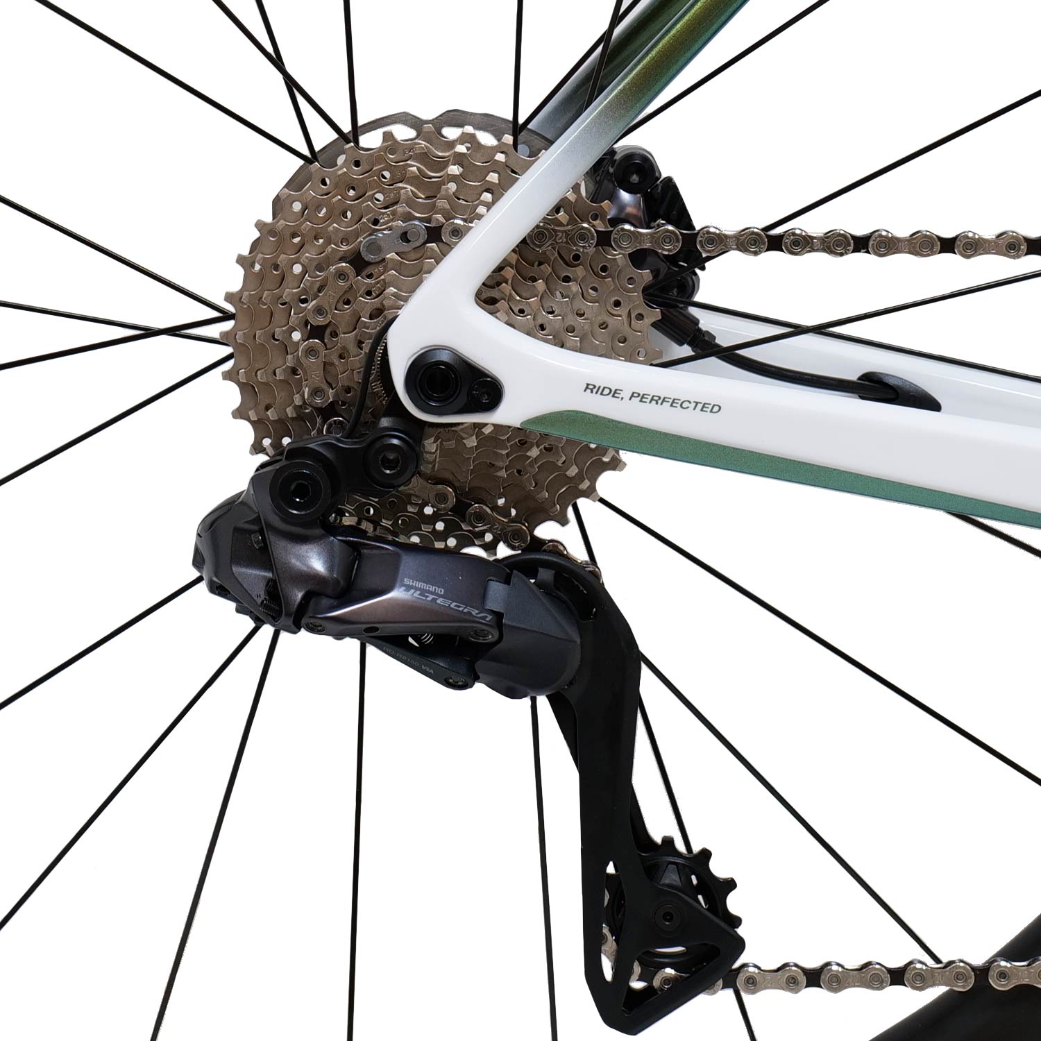 Basso Astra Ultegra Di2 Pop Green Bike