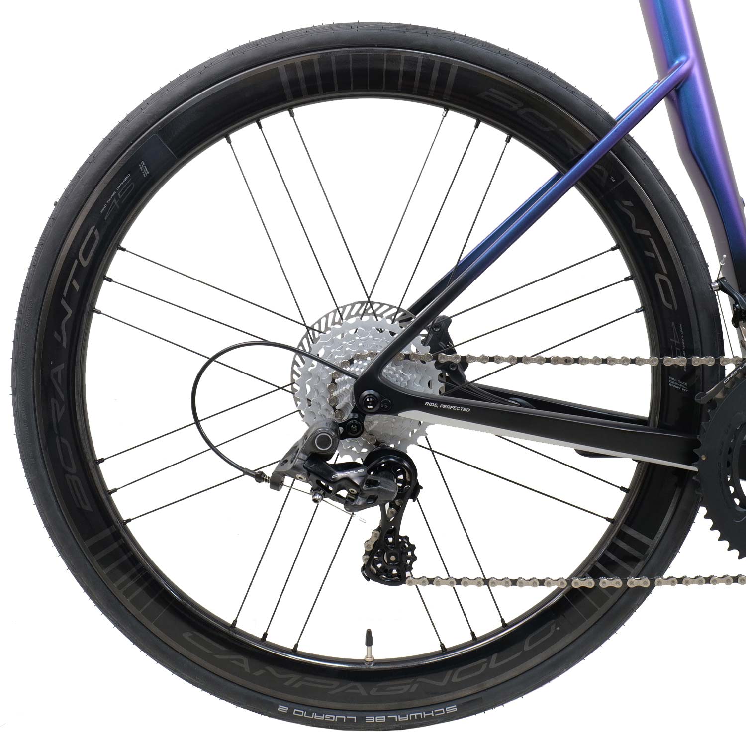 Basso Astra Chorus Ltd Edition Bora Bike