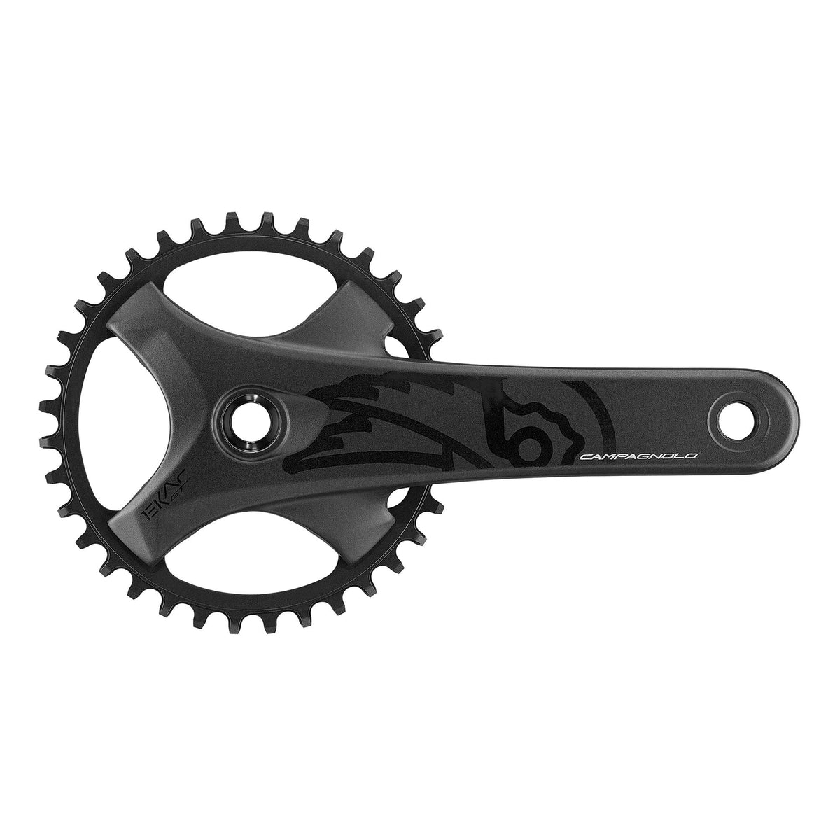 Campagnolo Ekar GT 13x Chainset