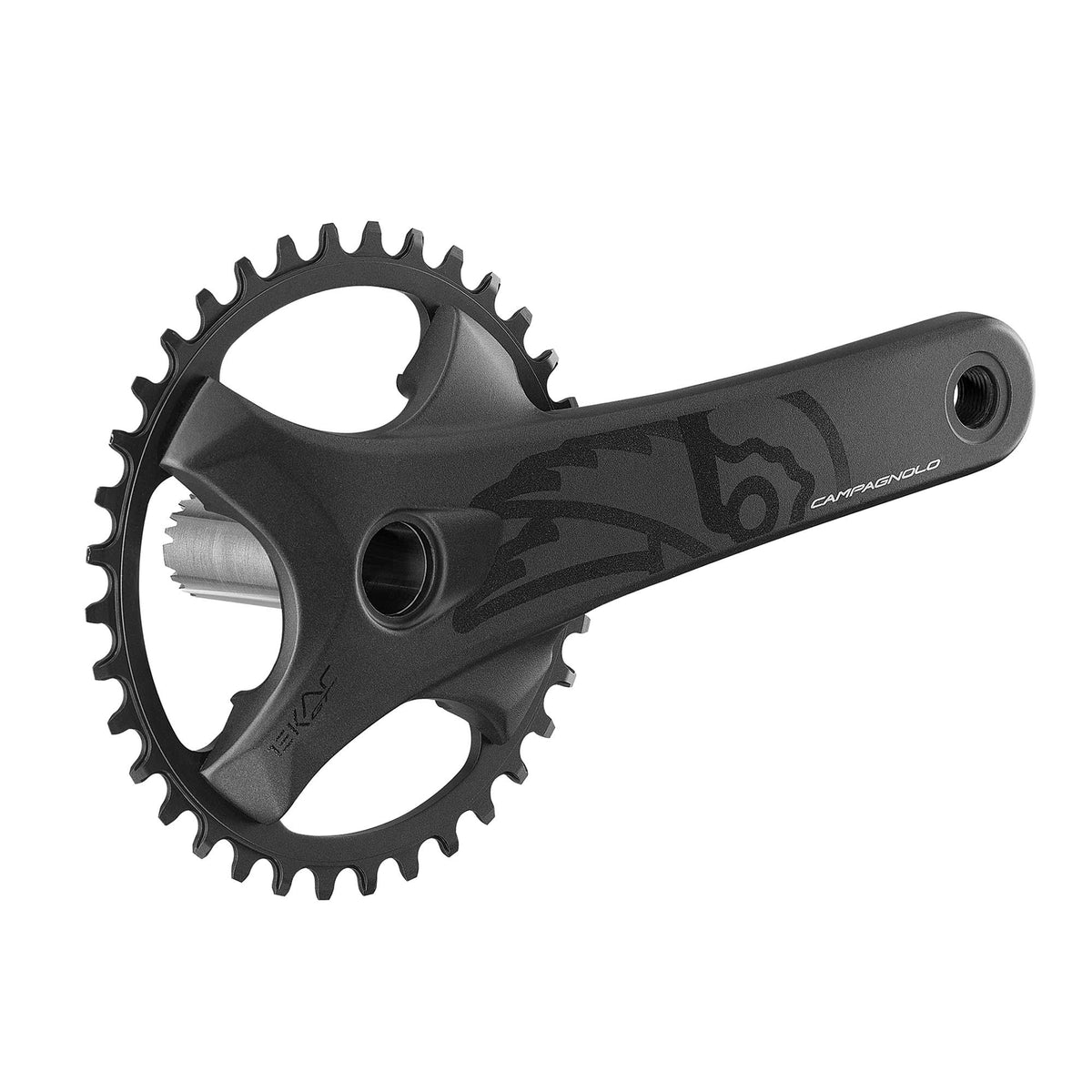 Campagnolo Ekar GT 13x Chainset