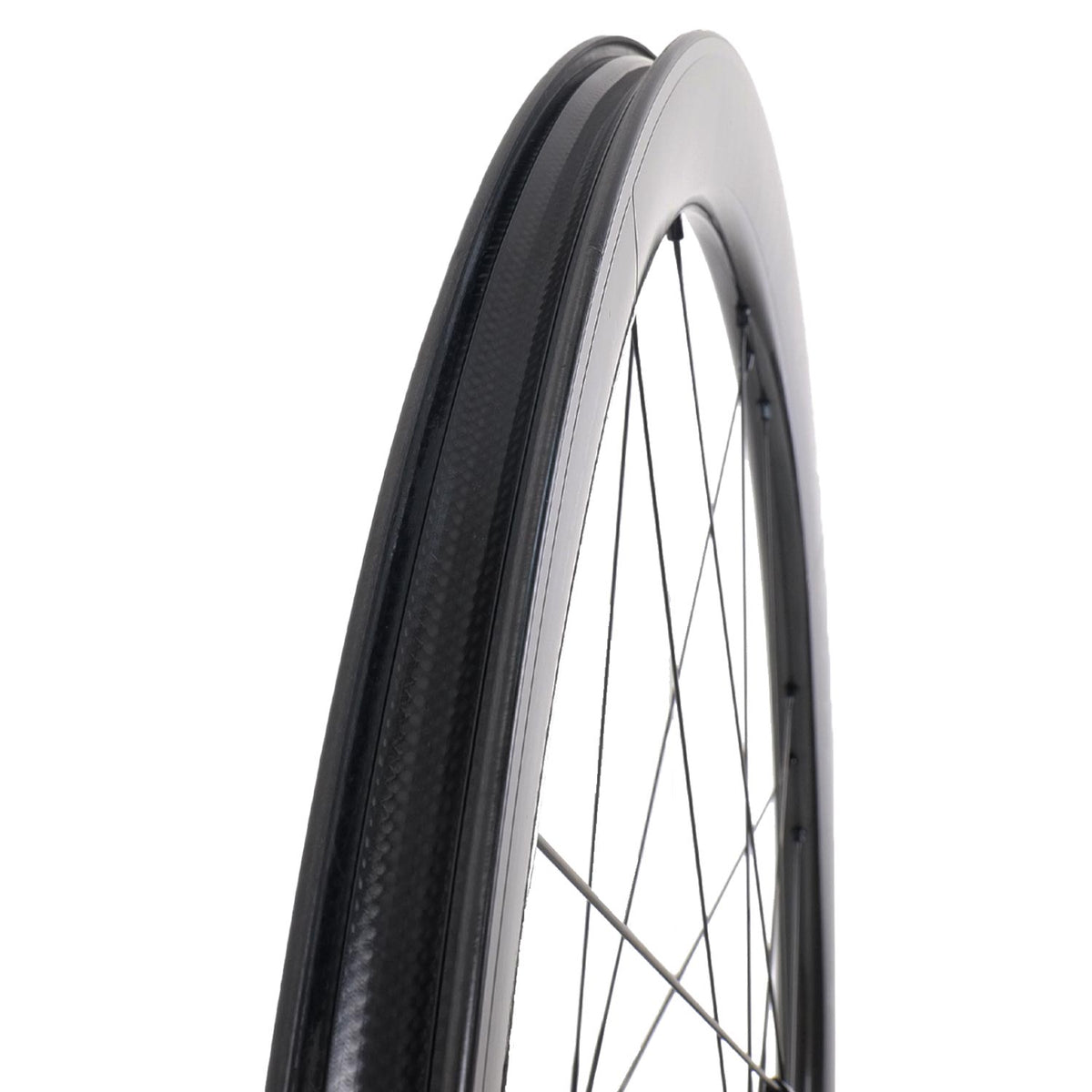 Campagnolo Bora WTO 60 Disc 2-Way Fit Special Edition Wheels