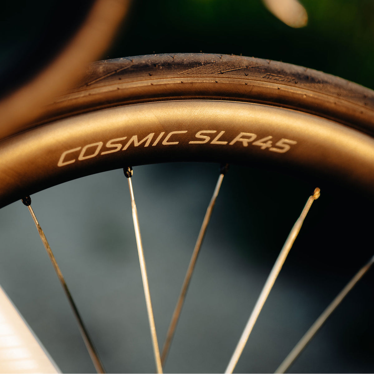 Mavic Cosmic SLR 45 Silver Ceramic Disc