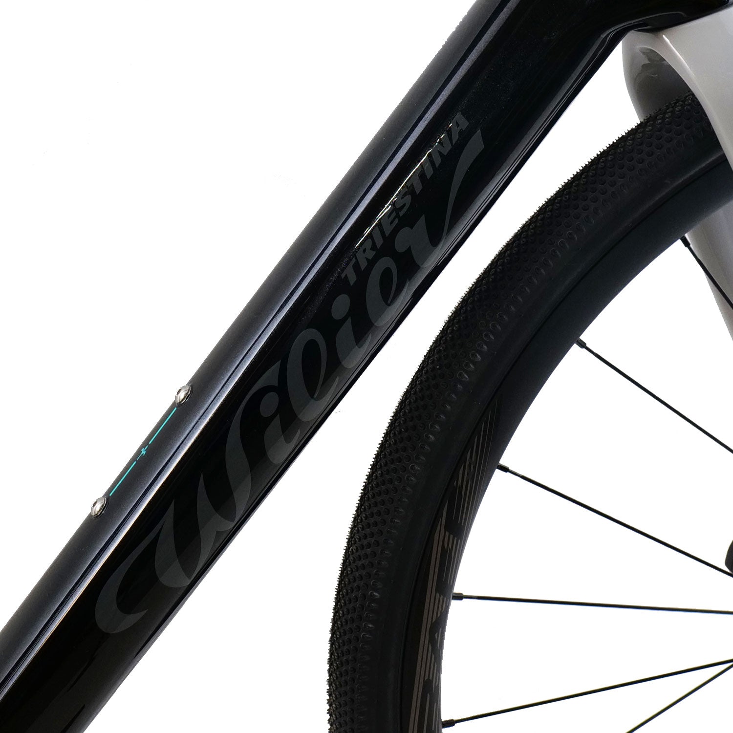 Wilier Rave SL Black/Silver Frameset