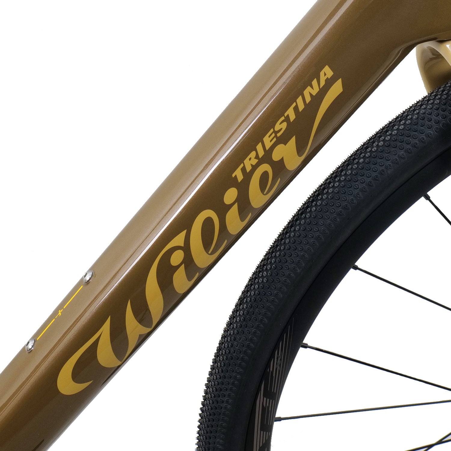 Wilier Rave SL Sand Frameset