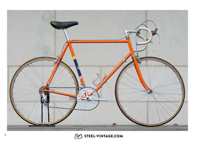 The Vintage Racing Bike